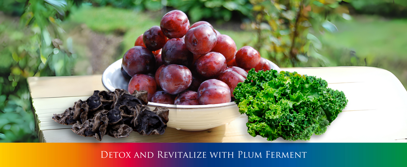 Detox and Revitalize with Plum Ferment – Holistic Way