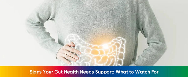 Signs Your Gut Health Needs Support: What to Watch For